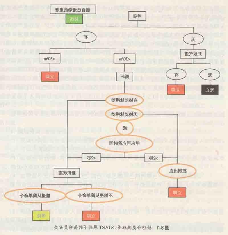 检伤分类